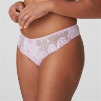 Prima Donna Orlando - String