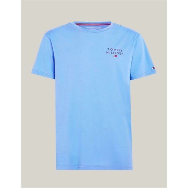 Tommy Hilfiger - T-Shirt - blue spell - L