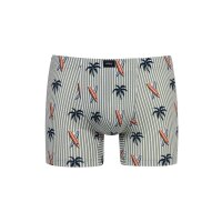 Palm Tree - Boxer